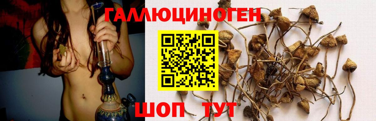 Галлюциногенные грибы MAGIC MUSHROOMS Учалы